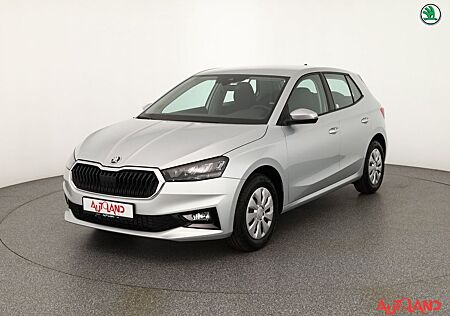Skoda Fabia 1.0 TSI LED Tempomat Sitzheizung