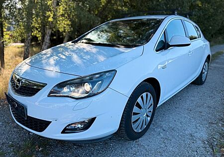 Opel Astra 1.4 ecoFLEX Cosmo Fahrradgepäckträger
