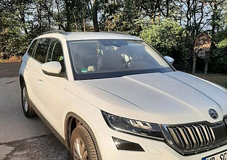 Skoda Kodiaq 2.0 TSI DSG 4x4 Ambition Ambition