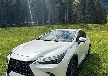 Lexus NX 350h SUV Business Line