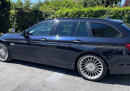 Alpina D5 FESTPREIS. , Merino, carbonschw.,WR,