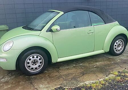 VW Beetle Volkswagen Cabrio