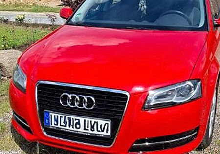 Audi A3 TDI Sportback