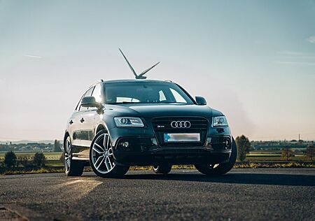 Audi SQ5 3.0 TDI Competition Quattro * B&O * AHK