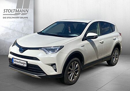 Toyota RAV 4 2.5 4x2 Hybrid Team Deutschland