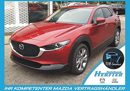 Mazda CX-30 SELECTION DES-P ACT-P BOSE 360KAMERA MATRI