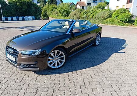 Audi A5 Cabriolet 2.0 TDI S-Line, Feinnap