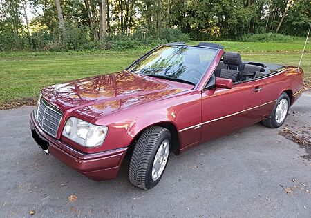 Mercedes-Benz 200 gebraucht kaufen Mercedes-Benz 200 Cabrio sportlich/elegant/zuverlässig/sparsam
