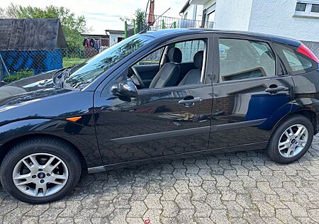 Ford Focus 1.6 Futura Futura