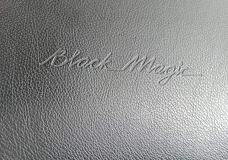 Ford Fusion 1,4 16V Black Magic Sondermodell