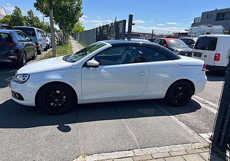 VW Eos Volkswagen Exclusive OPS, Panorama, Leder, Xenon