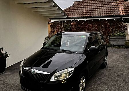 Skoda Fabia gebraucht kaufen Skoda Fabia 1.2l TSI 63kW Scout Scout