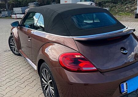 VW New Beetle Volkswagen