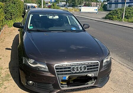 Audi A4 2.0 TDI (DPF) 125kW Ambiente Avant Ambiente