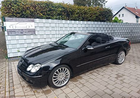 Mercedes-Benz CLK 200 CLK Cabrio Kompressor TOP ZUSTAN