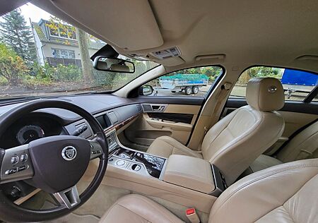 Jaguar XF 3.0 Diesel Luxury mit Anhängerkupplung