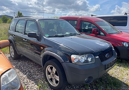 Ford Maverick Basis