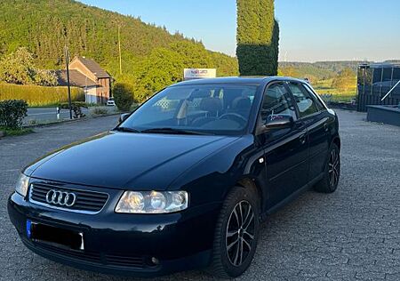 Audi A3 1.9TDI 105PS Sitzheizung