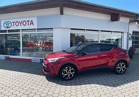 Toyota C-HR Hybrid Team D