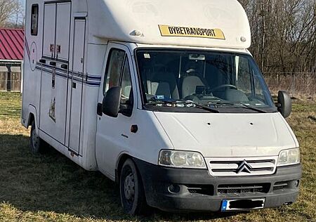 Citroën Jumper Pferdetransporter