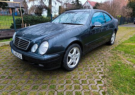 Mercedes-Benz CLK 230 KOMPRESSOR AVANTGARDE Avantgarde TÜV neu