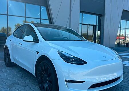 Tesla Model Y Performance Dual Motor AWD Performance