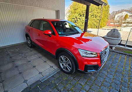 Audi Q2 1.0 TFSI ultra sport sport