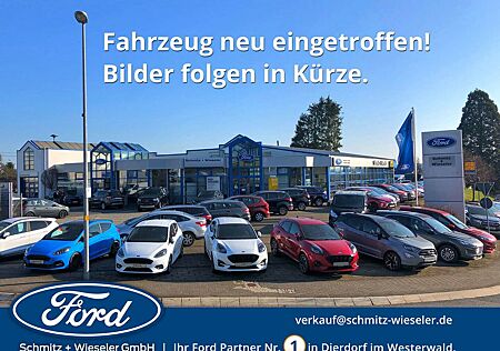 Ford Ranger DOKA 4x4 Wildtrak 205PS Rollo Unterboden.