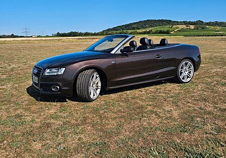 Audi A5 3.0 TDI (DPF) S tronic quattro Cabriolet -