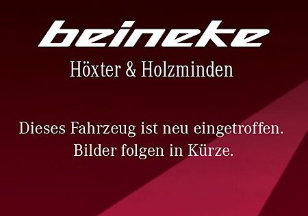 Hyundai Kona 2.0 T-GDI N Performance Assistenz Glasdach