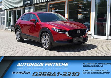 Mazda CX-30 Selection Design-Paket / AHK / Matrix-LED