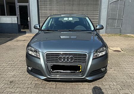 Audi A3 1.6 TDI (DPF) 66kW Ambiente Ambiente