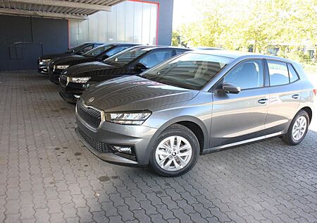 Skoda Fabia Selection 1.0TSI DSG Klimatr-Kamera-Winte