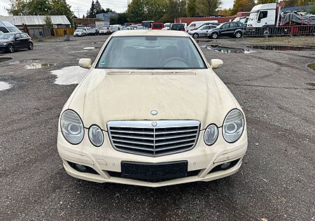 Mercedes-Benz E 200 gebraucht kaufen Mercedes-Benz E 200 CDI Taxi