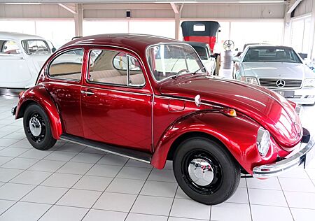 VW Käfer Volkswagen 1600/Kompletter Neuaufbau im Topzustand