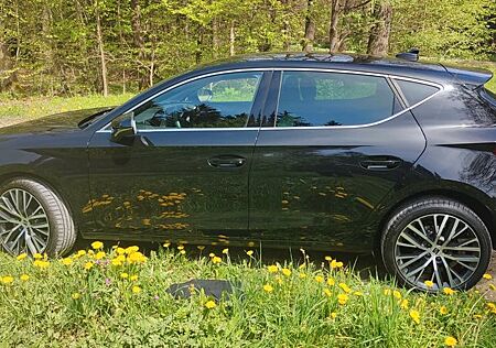 Seat Leon 1.5 TGI 96kW Xcellence DSG