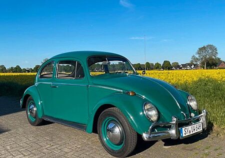 VW Käfer Volkswagen 1200 Export