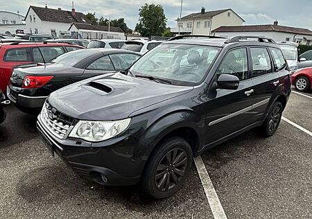 Subaru Forester Exclusive