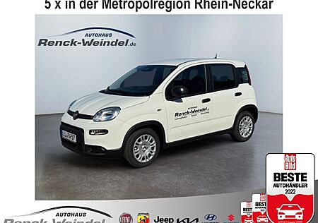 Fiat New Panda Pandina 1.0 DAB Spurhalteass. Verkehrszeichenerk