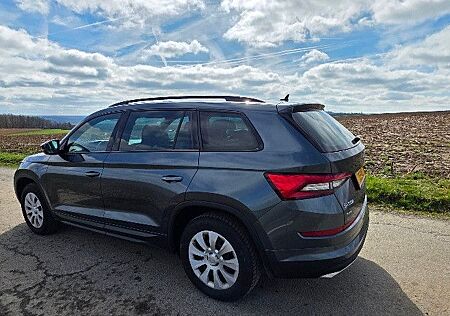 Skoda Kodiaq 2.0 BiTDI SCR DSG 4x4 RS RS