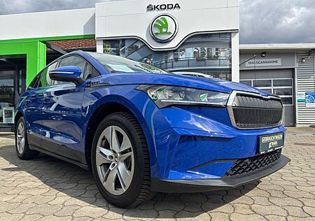 Skoda Enyaq iV 60*RFK*NAVI*Wärmepumpe*Allwetter