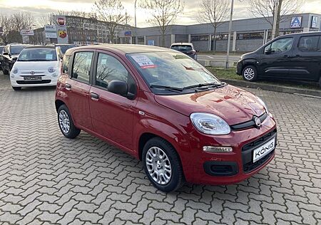 Fiat Panda MY25 1.0 Klima PDC Citypaket
