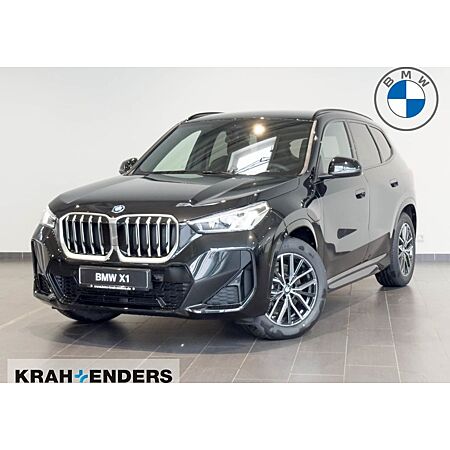 BMW X1 leasen