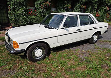 Mercedes-Benz 220 220D W123 - selten & gut