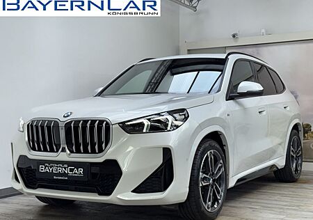 BMW X1 sDrive20i M Sport Pano ACC 360° CockpitProf