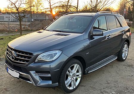 Mercedes-Benz ML 350 -Pano-Standh-Airmatic DC-Nappaleder