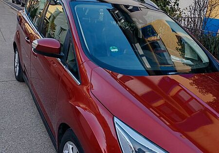 Ford Grand C-Max 2,0TDCi, Titanium 7sitzer, Pano