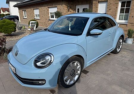 VW New Beetle Volkswagen