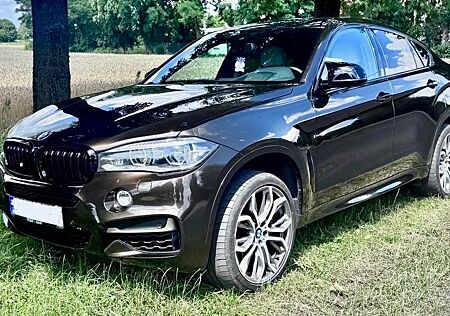 BMW X6 M50 d Performance Komfortsitze Pyritbraun