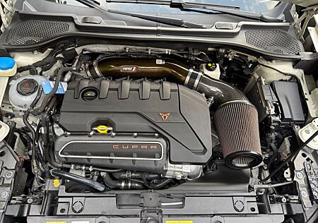 Cupra Formentor 2.5 TSI VZ5 Edit. Taiga Grey 74/999